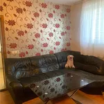 Rent 2 bedroom apartment of 40 m² in Brasov