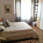 Rent 2 bedroom apartment of 55 m² in Turin