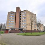 Hofdael, Geldrop - Amsterdam Apartments for Rent