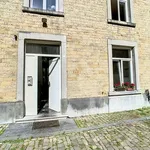  appartement avec 1 chambre(s) en location à Assesse