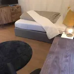 Miete 3 Schlafzimmer wohnung in Frankfurt