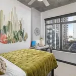 Rent 1 bedroom apartment in Tempe