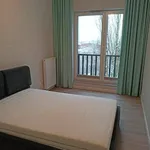 Rent 3 bedroom apartment of 60 m² in szczecin