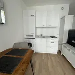 Rent 1 bedroom apartment of 30 m² in Berlin