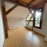 Exklusive 3 Raumwohnung mit EBK , Kamin und Dachterrasse