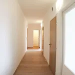 Rent 2 bedroom apartment in Ostrava