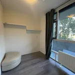 Huur 4 slaapkamer appartement van 80 m² in Amsterdam