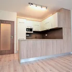 Rent 2 bedroom apartment of 55 m² in Praha