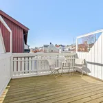 Rent 1 bedroom apartment in Trondheim