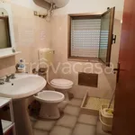 Rent 3 bedroom apartment of 70 m² in Castelvetrano