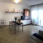 Rent 3 bedroom apartment of 80 m² in Misano Adriatico