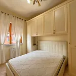 Rent 2 bedroom apartment of 50 m² in Roma