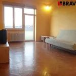 Rent 1 bedroom apartment of 49 m² in Brno