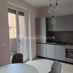 Rent 2 bedroom apartment of 53 m² in Turin