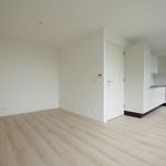 Rent 3 bedroom apartment of 59 m² in Rotterdam