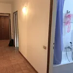 Rent 4 bedroom apartment in Rome