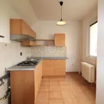 Rent 1 bedroom apartment of 36 m² in Most