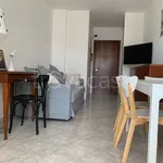 Rent 2 bedroom apartment of 50 m² in Riccione