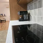 Rent 1 bedroom apartment of 52 m² in Brno