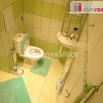 Rent 1 bedroom apartment of 21 m² in Jáchymov