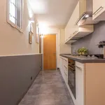 Rent 2 bedroom apartment of 100 m² in rome