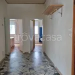 Rent 3 bedroom apartment of 85 m² in Padova