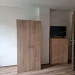 Rent 3 bedroom apartment of 50 m² in Kecskemét