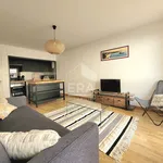 Rent 1 bedroom apartment of 30 m² in pau