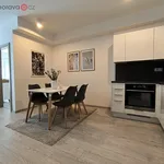 Rent 2 bedroom apartment of 62 m² in Brno