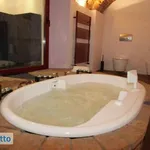 Rent 3 bedroom apartment of 130 m² in Bologna