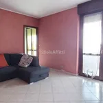 Rent 3 bedroom apartment of 70 m² in Turin