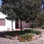 Rent 3 bedroom house of 110 m² in Martina Franca