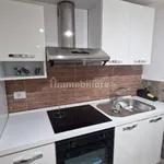 Rent 2 bedroom apartment of 55 m² in Bari