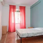 Rent 6 bedroom apartment in Rome