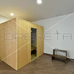 Rent 2 bedroom apartment of 130 m² in Zagreb