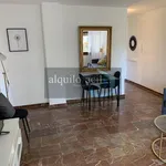 Rent 1 bedroom apartment of 100 m² in Malaga