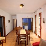 Rent 3 bedroom apartment of 65 m² in Pisa