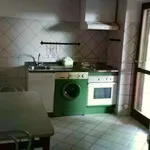 Rent 1 bedroom apartment of 45 m² in Ancona