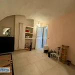 Rent 3 bedroom apartment of 80 m² in Turin