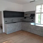 Pronajměte si 1 ložnic/e byt o rozloze 46 m² v Prague