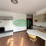 2-room flat via Bruxelles, Centro, San Donato Milanese