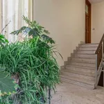 Rent 6 bedroom apartment of 100 m² in Rimini