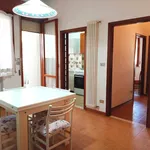 Rent 2 bedroom apartment of 56 m² in Cervia