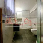 Rent 6 bedroom apartment of 270 m² in Padova