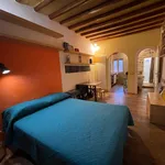 Rent 1 bedroom apartment in Florence