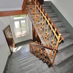 Rent 2 bedroom apartment of 42 m² in Chemnitz