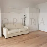 Rent 1 bedroom apartment of 45 m² in Bolzano - Bozen