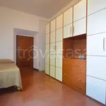 Rent 4 bedroom apartment of 100 m² in Firenze