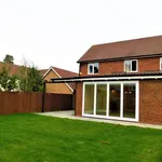 Rent 1 bedroom house in Colchester