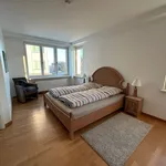 Miete 2 Schlafzimmer wohnung von 120 m² in Flensburg